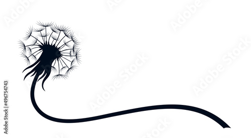 The symbol of field dandelion Flower.  