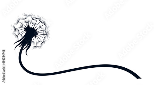 The symbol of field dandelion Flower.