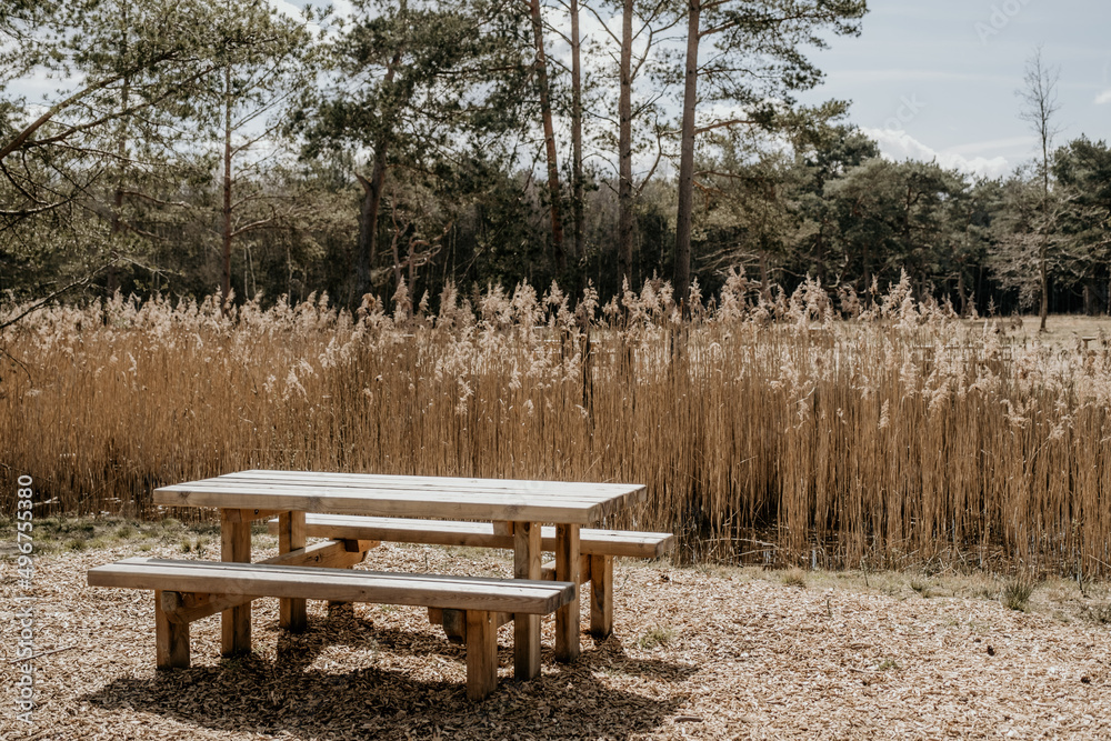 picnic bench in park by a pond