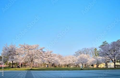 仙台市西公園