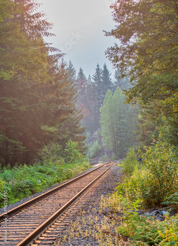 Railway across the forest with haze in the background.