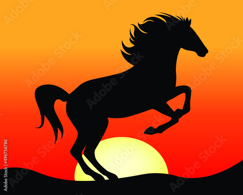 Rearing horse with sunset background. Horse silhouette.