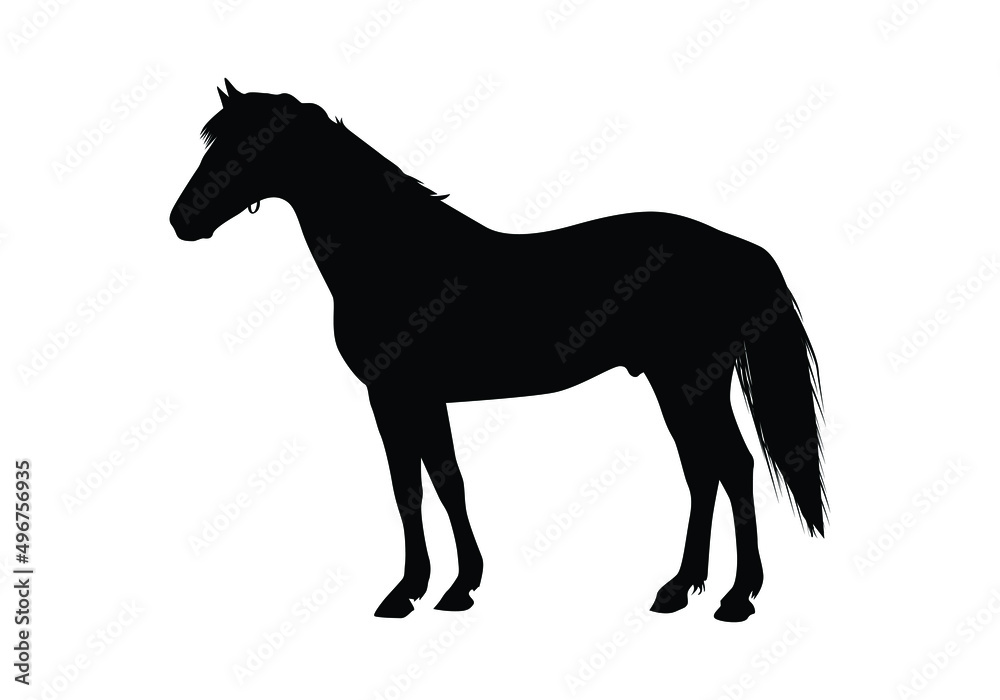Horse silhouette vector isolated.
