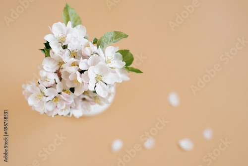 Spring floral background. Flat lay of flowers and petals of flowers of white apple tree on beige background, top view. Women's day or early spring greeting card