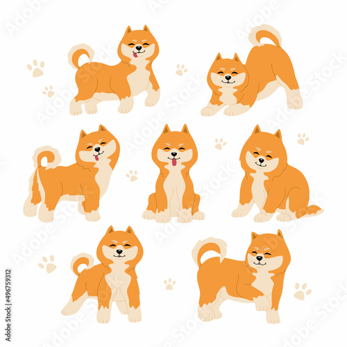 Set of cute shiba inu dogs in different poses. Funny japanese smiling animals. Hand drawn colored vector illustration isolated on white background. Modern trendy flat cartoon style. © Olena