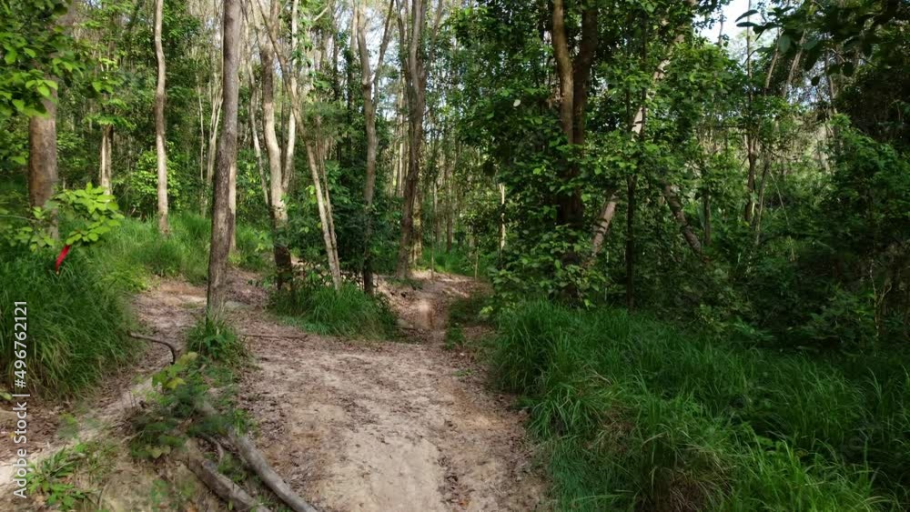 Video inserts of public forest areas used for walking or jogging for summer outdoor adventures. Video inserts of public forest areas used for walking or jogging for summer outdoor adventures.
