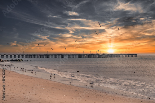 Coney Island beach with Pat Auletta Steeplechase Pier during sunset with lots of seagulls sitting and flying around, idyllic background