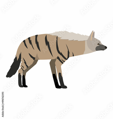 Canvas Aardwolf hyena seen in Side view - Flat style vector