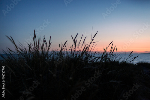 Silhouette plants by sea in front of sky at dusk