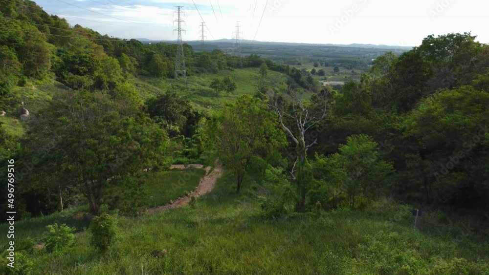 Video inserts of public forest areas used for walking or jogging for summer outdoor adventures. Video inserts of public forest areas used for walking or jogging for summer outdoor adventures.