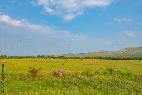 spacious green fields and mountains in georgia in summer