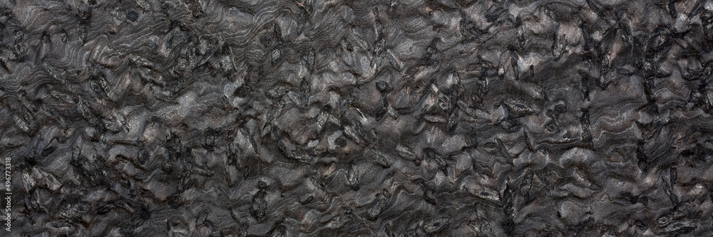 Black granite texture on macro. Long slab pattern for your interior design or web site.