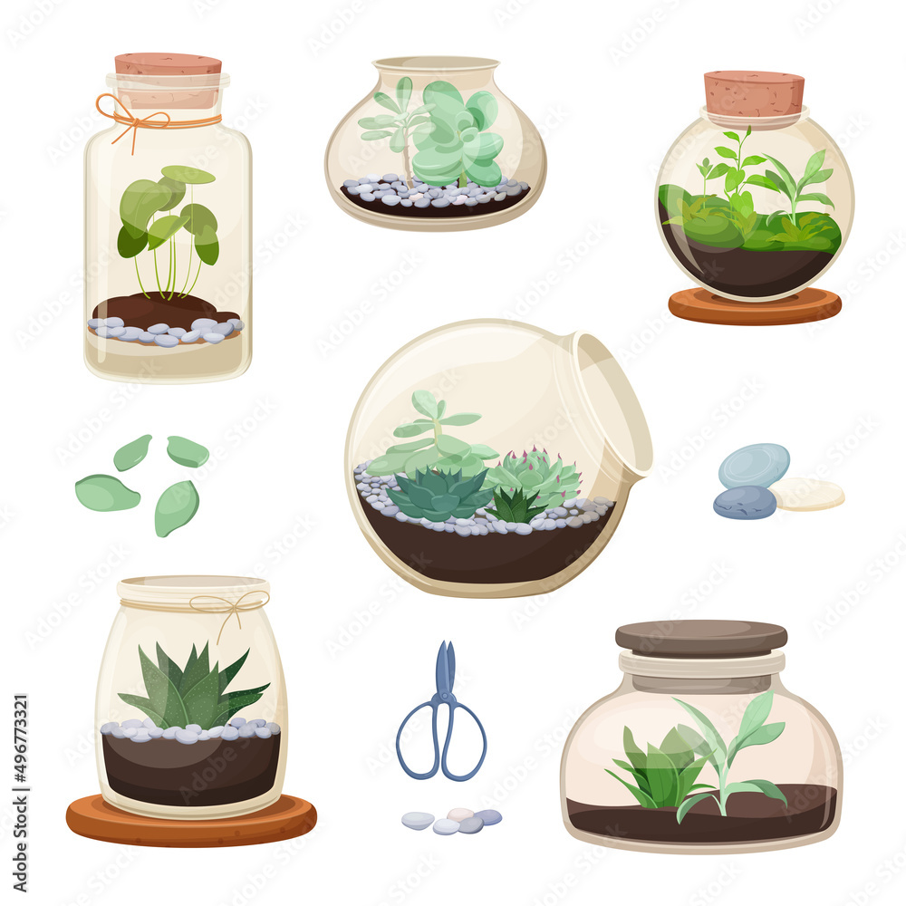 Set of home florariums. Succulents and other  houseplants in glass jars of various shapes. Plant terrarium. Vector Illustration
