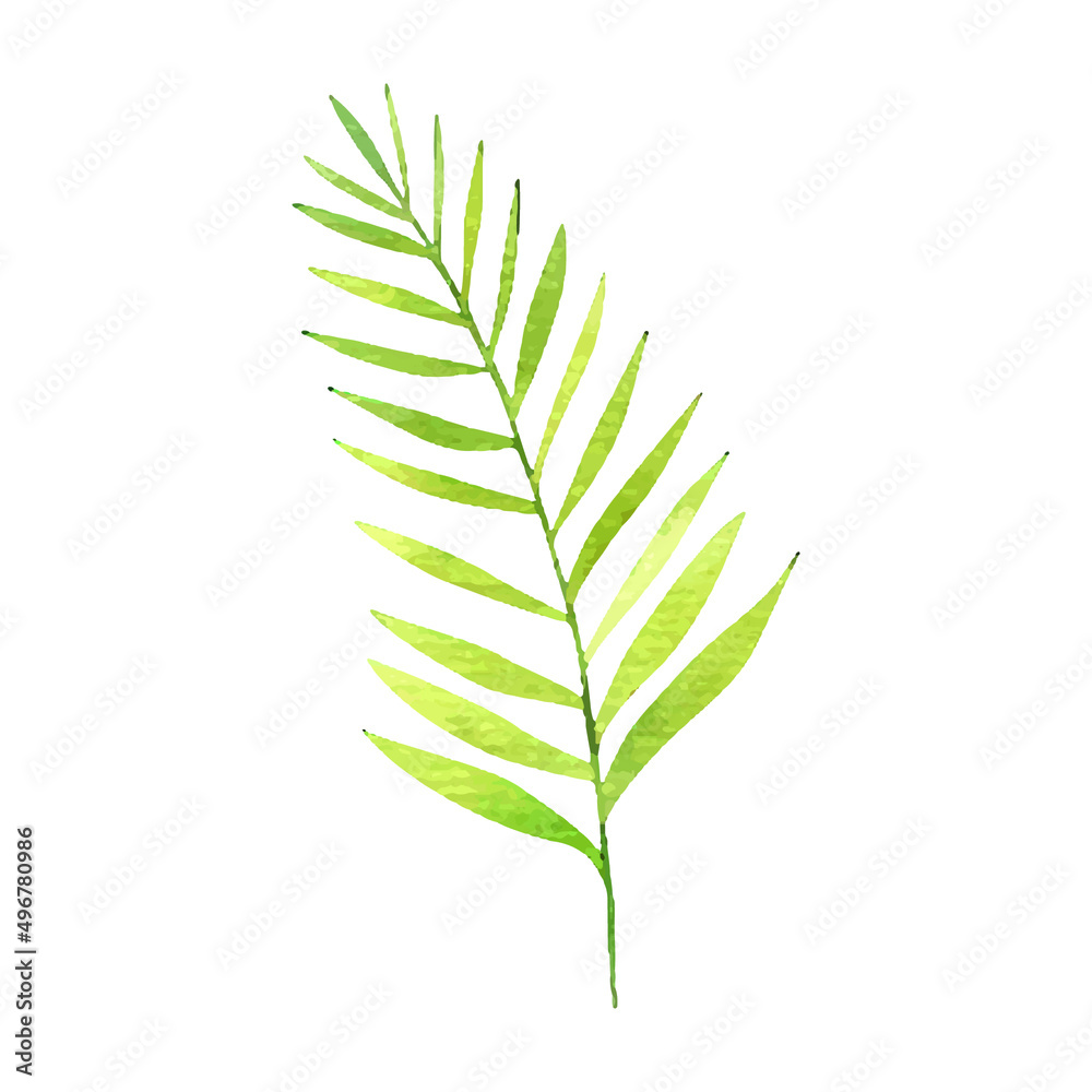 tropical flowers and leaves, cute childish illustration, design and print tropical flowers and leaves, cute childish illustration, design and print