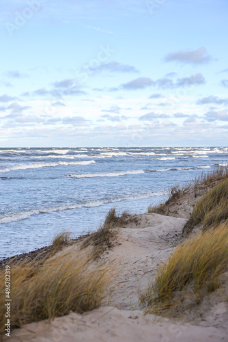 Baltic sea seaside coastal view with seagrass in front ground and waves in the background.