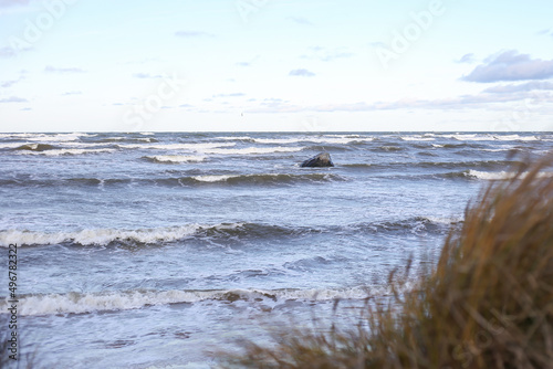 Baltic sea seaside coastal view with seagrass in front ground and waves in the background.