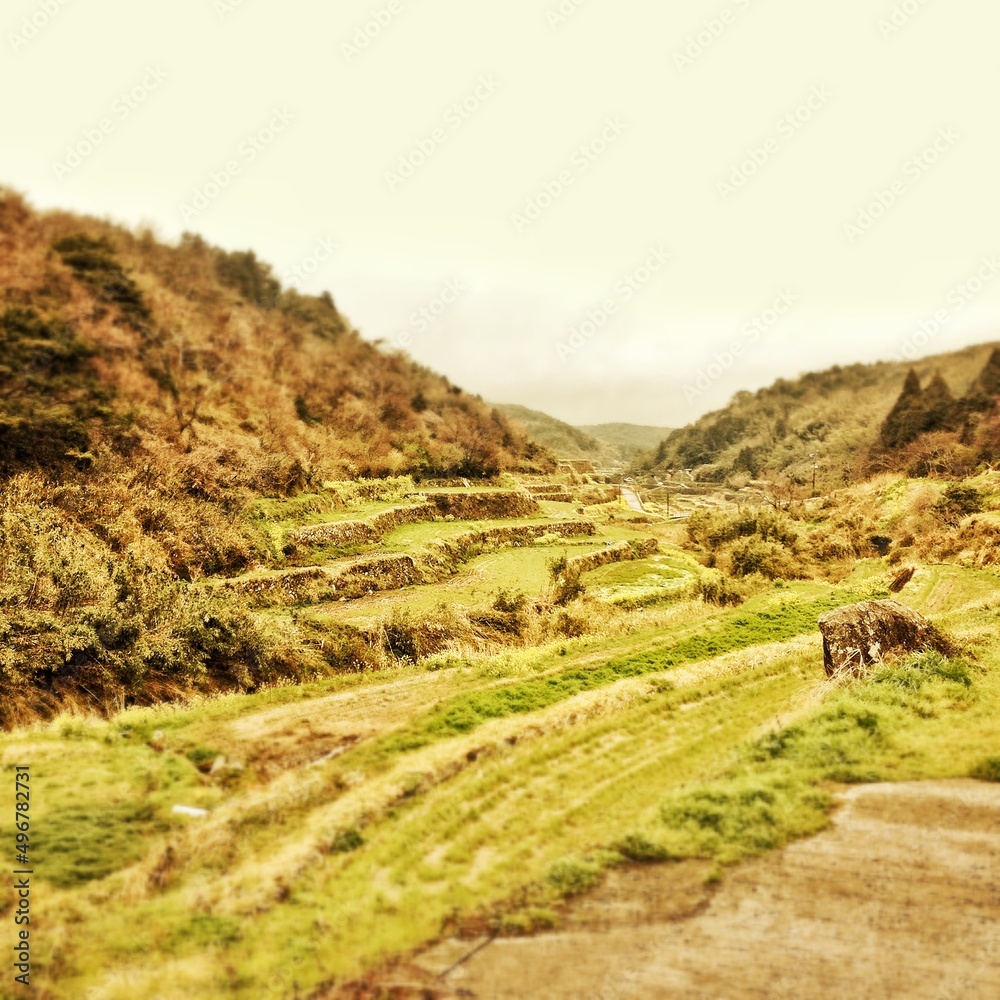 Naklejka premium セピア色の田園風景