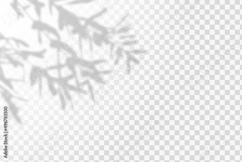 Realistic shadow tropical leaves and branches on transparent checkered background. The effect of overlaying shadows. Natural light layout.