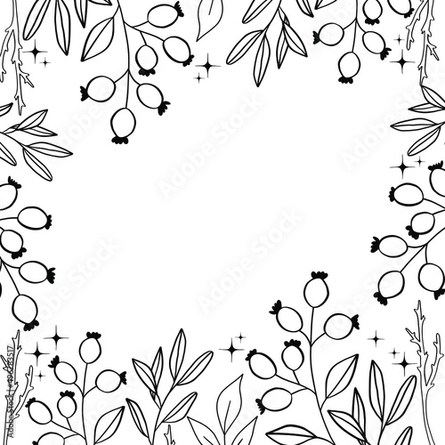 Vector square frame with plants. Vector line drawing of a rosehip plant.
