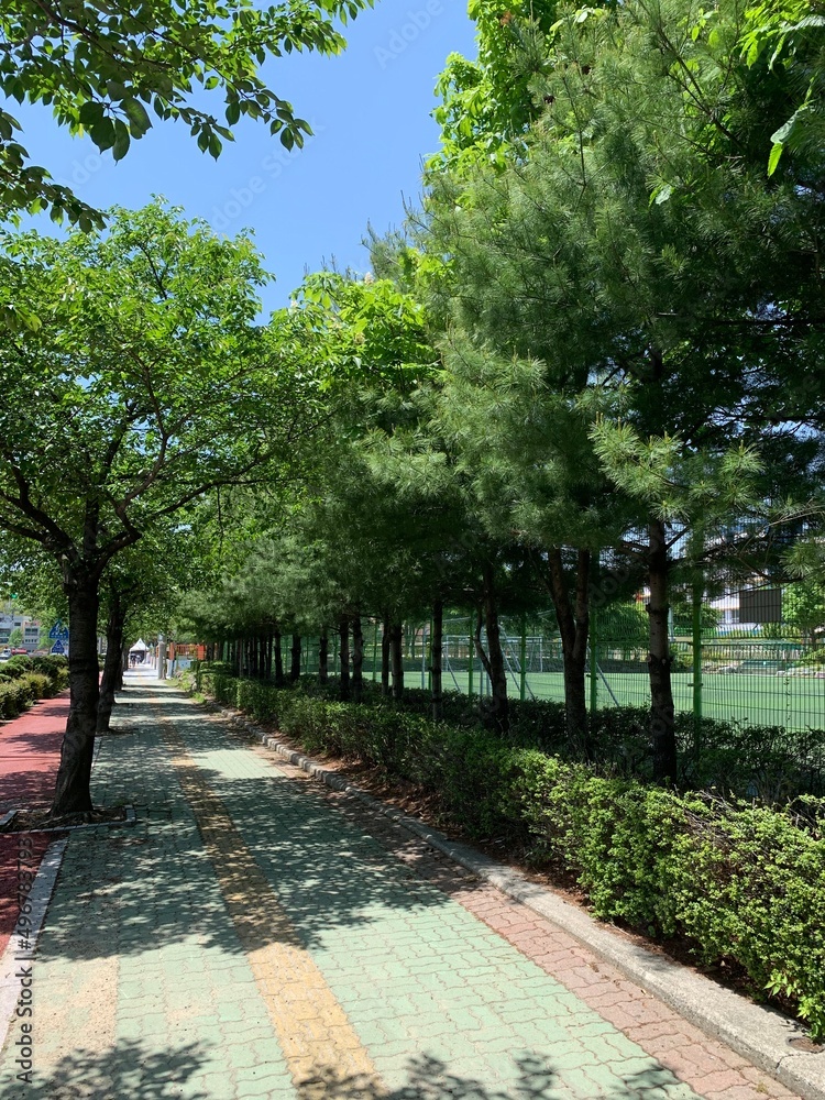 Obraz premium 거리