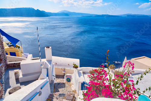Beautiful sea view with bougainvillea flowers in Oia, Santorini, Greece. Iconic image of vacation in Greece