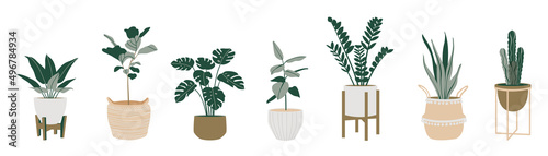 Fotografie, Obraz Potted plants collection on white background