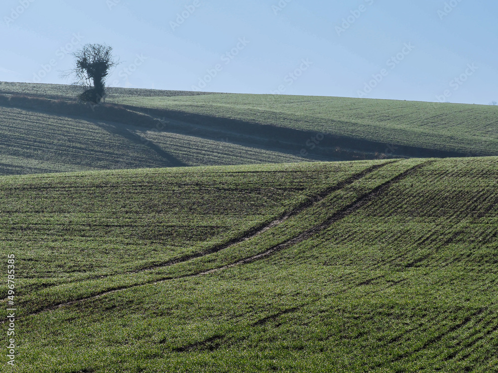 vue de champs à Brignancourt dans le Val d'Oise en France