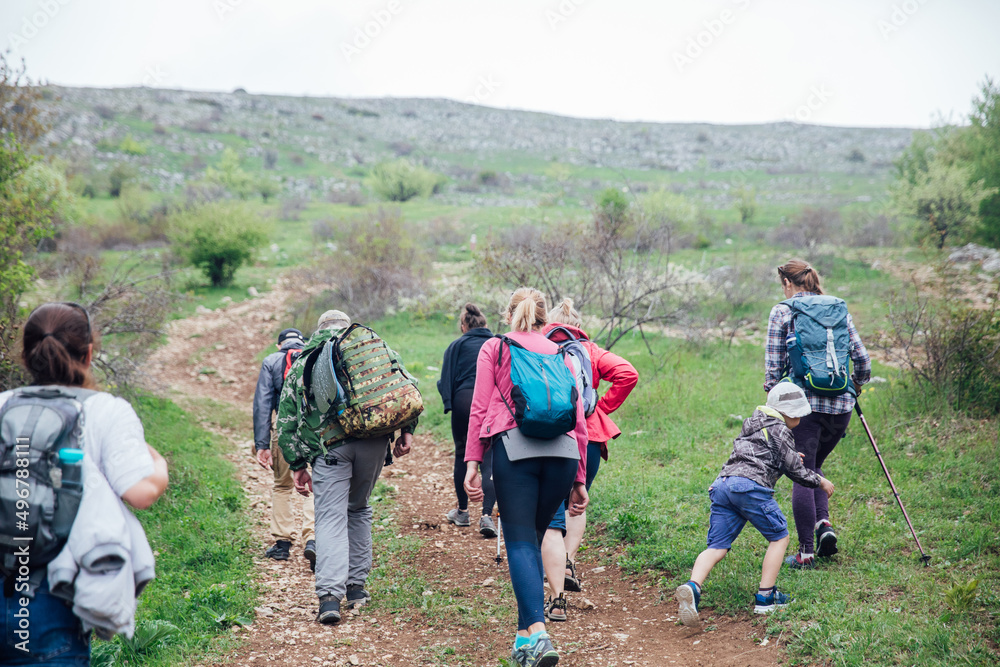 people travelers hike along a forest road people travelers hike along a forest road