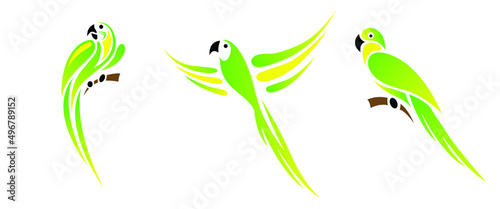 Pretty macaw bird vector. Scarlet macaw, largest parrot species. 