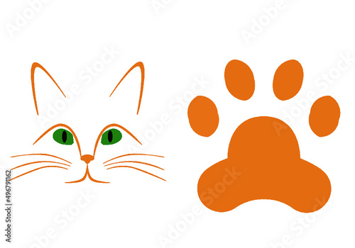 An orange cat with green eyes on the left hand side with her footprint on the right hand side.