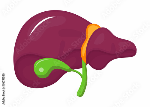 Liver flat icon vector for website and mobile website development, apps are presented. Viral hepatitis A, B, C, D is symbol, cirrhosis icon.