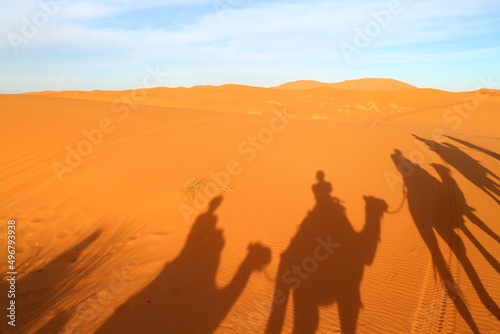 Shadows of camels in the sand dunes of Erg Chebbi desert during golden hour at sunset in Morcco