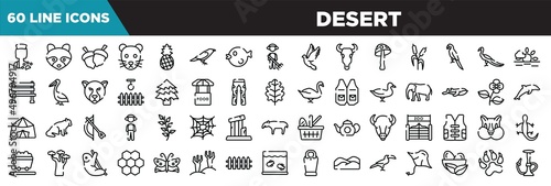 desert line icons set. linear icons collection. veterinarian, racoon, hazelnut, rat vector illustration