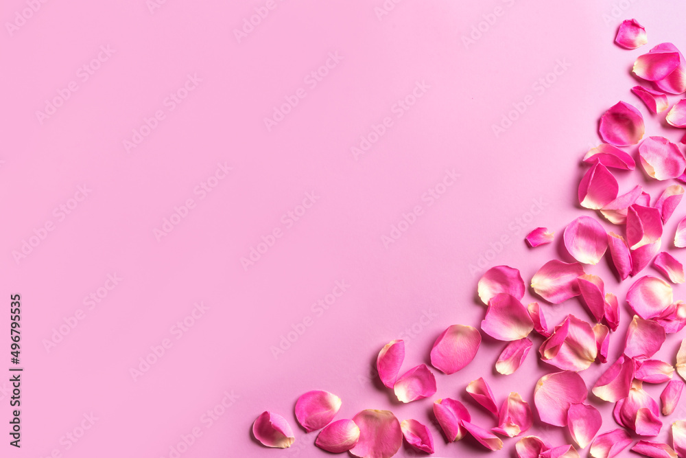 Pink rose petals border Pink rose petals border