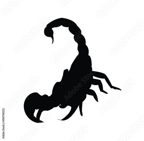 Scorpion illustration on isolated white background. Poisonous insects.