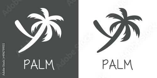 Logotipo texto Palm con letra Y en tipografía con forma de silueta de palmera en fondo gris y fondo blanco