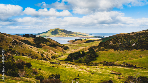 Fotografie Beautiful view of green hills near the ocean in Dunedin, South Island, New Zeala