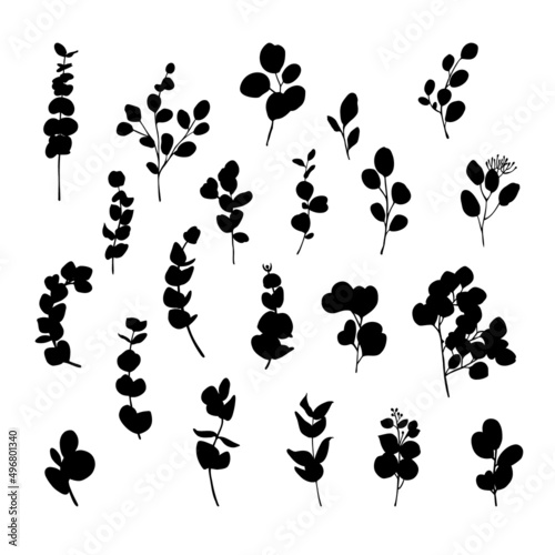 Eucalyptus silhouette vector set. © galunga.art