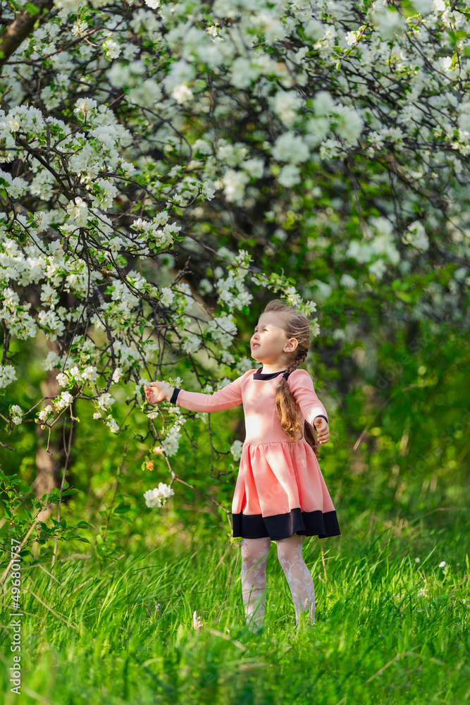 little girl walks through a blooming apple orchard little girl walks through a blooming apple orchard