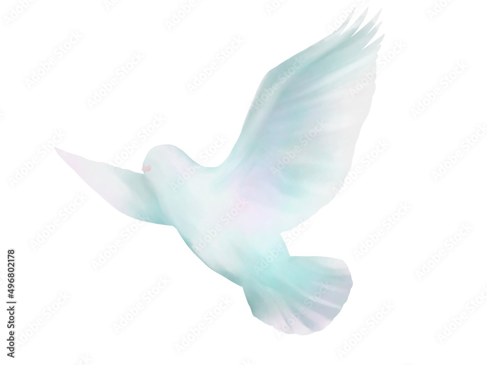 白い鳩の水彩イラスト Stock Illustration Adobe Stock