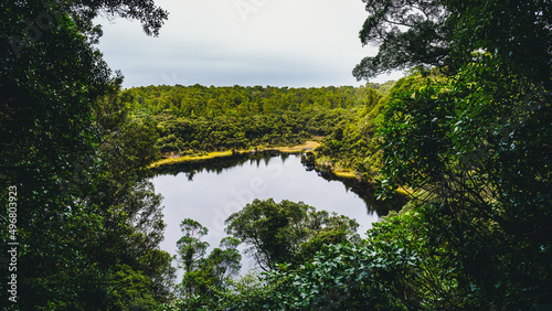 Cuadro en lienzo Scenic view of a lake surrounded by dense forests