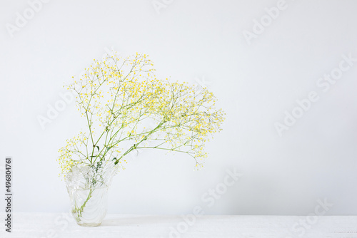 yellow gypsophila in glass vase in white room