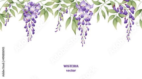 Seamless border of purple wisteria flowers and green leaves on a white background. Background design. design of posters, postcards. Vector illustration photo