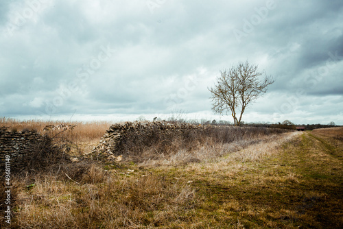 Tablou pe pânză Beautiful rural Oxfordshire countryside on a gloomy day