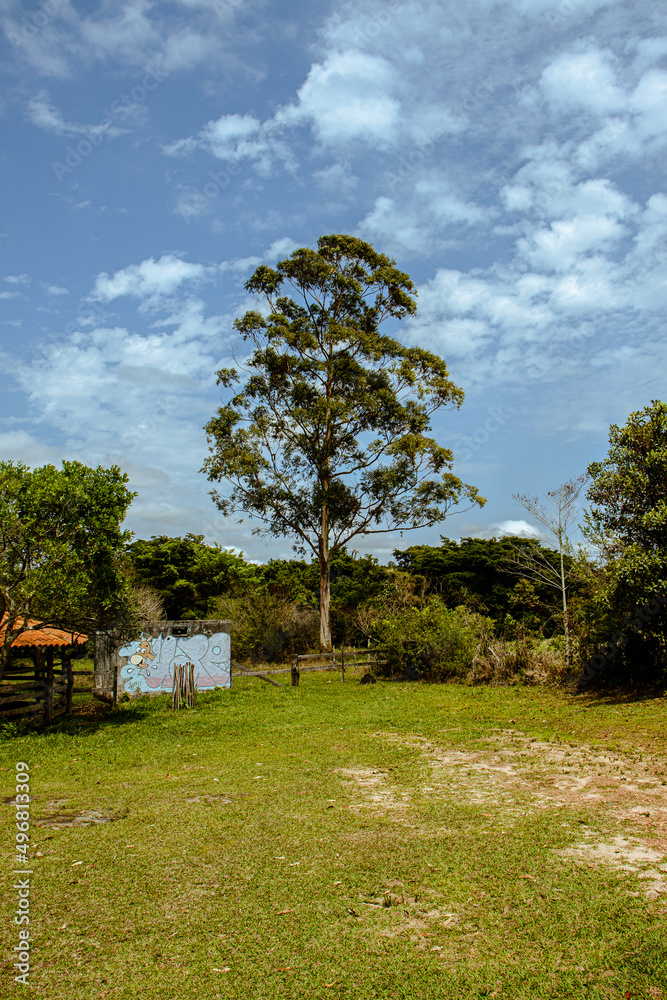 Natural landscape in the city of Carrancas, State of Minas Gerais, Brazil Natural landscape in the city of Carrancas, State of Minas Gerais, Brazil