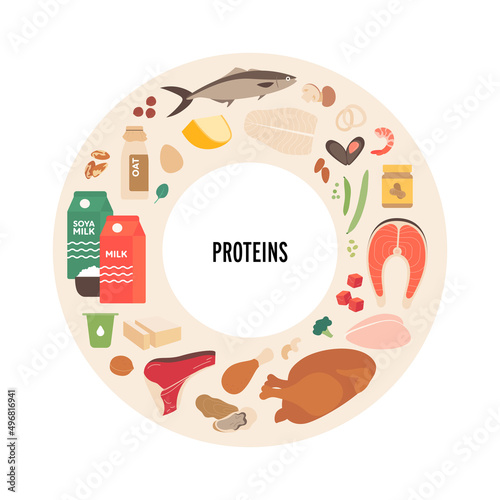 Food and meal ingredients vector flat illustration set. Protein sources food plate infographic circle frame with label. Colorful food and meal icon set meat, seafood, vegetables and dairy products.