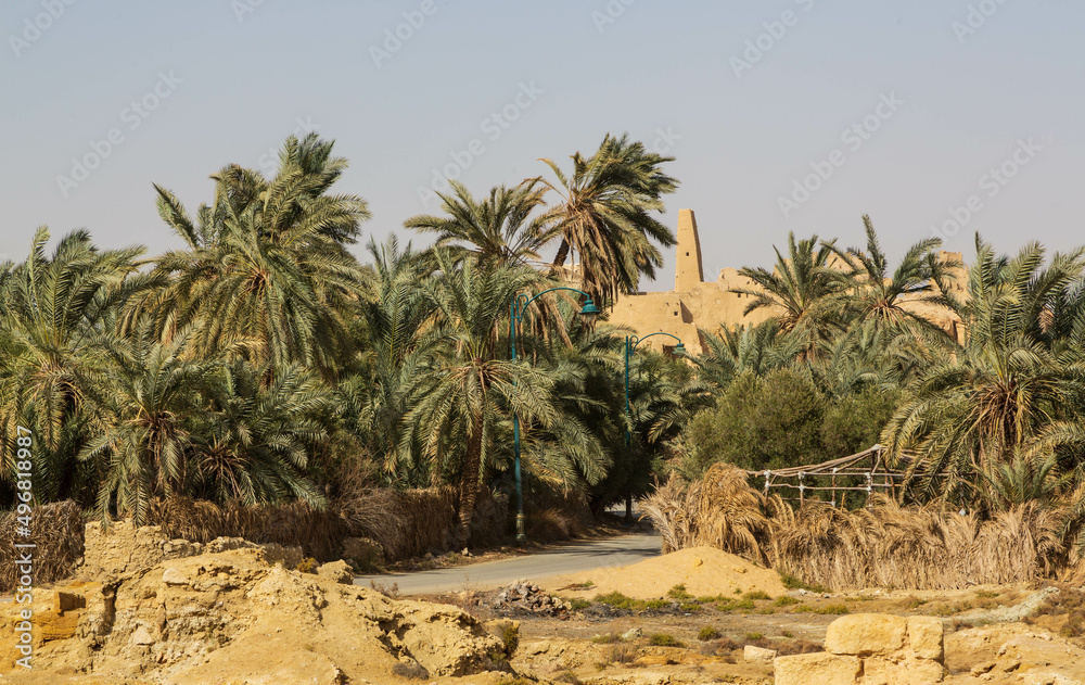 SIWA, EGYPT - April 2018: Oracle temple or Amun Revelation Temple at Siwa oasis, temple where Alexander the Great was predicted to conquer the whole world, Egypt SIWA, EGYPT - April 2018: Oracle temple or Amun Revelation Temple at Siwa oasis, temple where Alexander the Great was predicted to conquer the whole world, Egypt