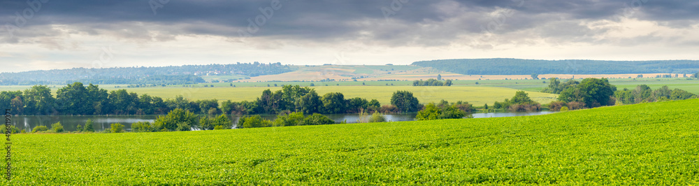 Wide spacious green field near the river and trees, forest in the distance and picturesque cloudy sky