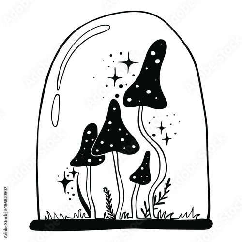 Vector line drawing. Mushrooms under a glass cap.