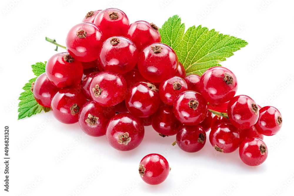 Ripe redcurrant berries on white background. Close-up. Ripe redcurrant berries on white background. Close-up.